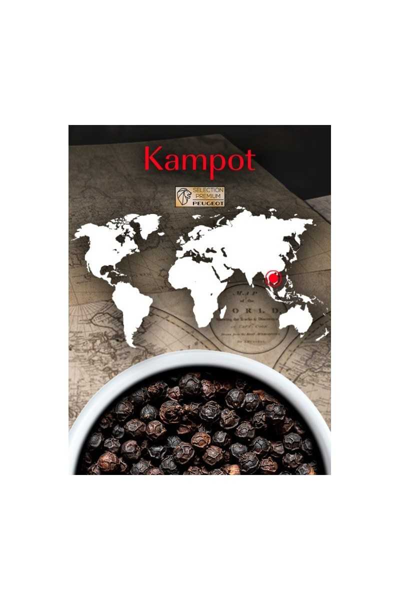 Peugeot Epices Doos Met 3 Zakjes Kampot Zwarte Peper 60G (3*20G)