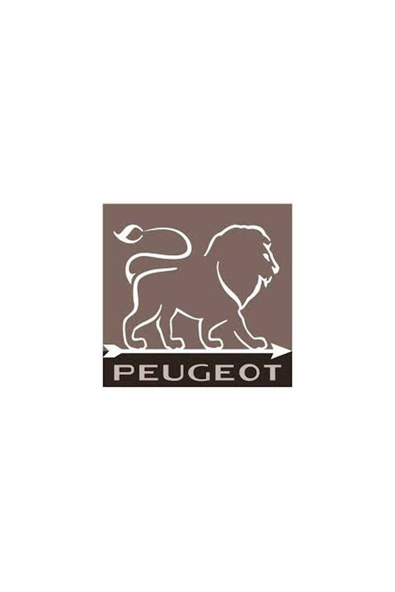 Peugeot Paris U-select dark red salt mill