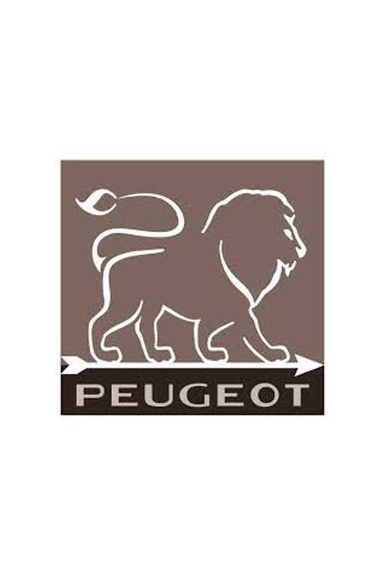 Peugeot Paris U-select dark red salt mill
