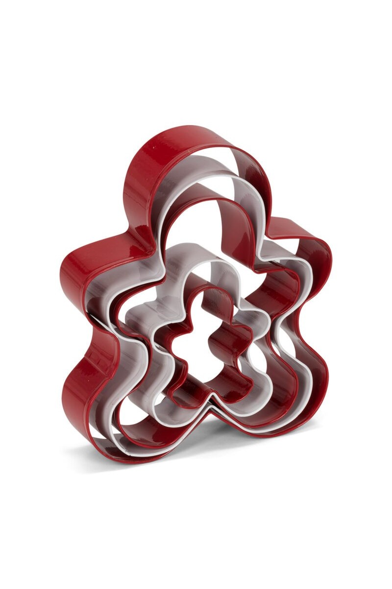 Patisse set uitsteekvormen rvs speculaaspop 5-delig