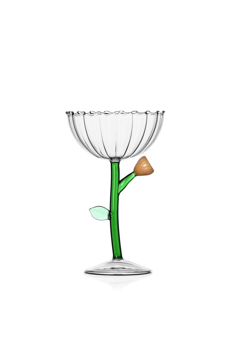 Ichendorf Botanica Champagnekom met Amberkleurige Bloem