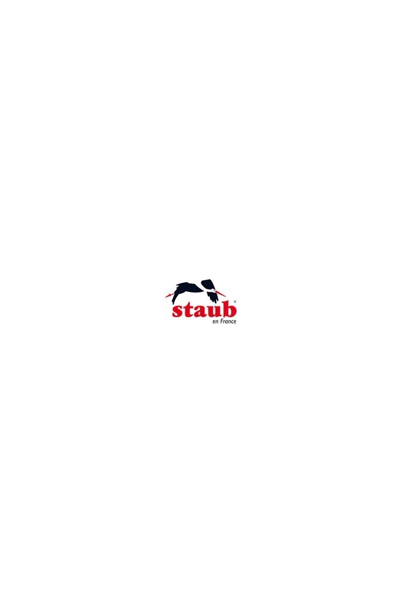 logo Staub