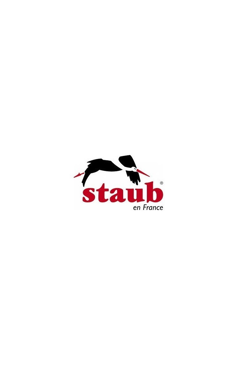 logo Staub